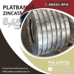 oferta speciala platbanda