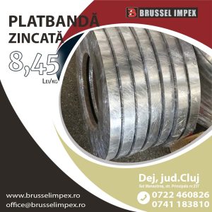 oferta speciala platbanda