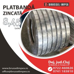 oferta speciala platbanda